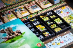 ArkNova_foto_BG_Pictures (25)-min.jpg