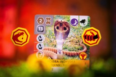 ArkNova_foto_BG_Pictures (29)-min.jpg