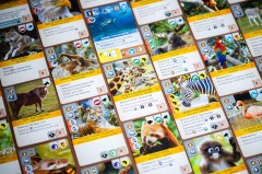 ArkNova_foto_BG_Pictures (35)-min.jpg