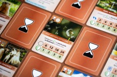 ArkNova_foto_BG_Pictures (42)-min.jpg