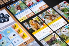 ArkNova_foto_BG_Pictures (58)-min.jpg