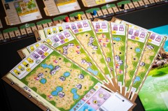 ArkNova_foto_BG_Pictures (68)-min.jpg