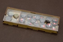 Neuroshima2025 - insert reDrewno