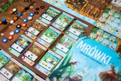 gra-planszowa-mrowki-komponenty.png
