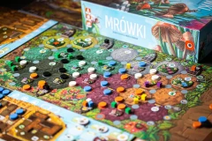 gra-planszowa-mrowki-komponenty.png