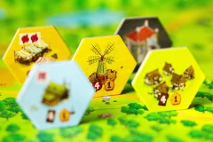 gra-planszowa-emberleaf-komponenty.png